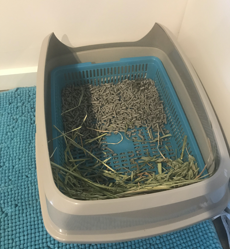 budget grid litter box system for pet rabbits